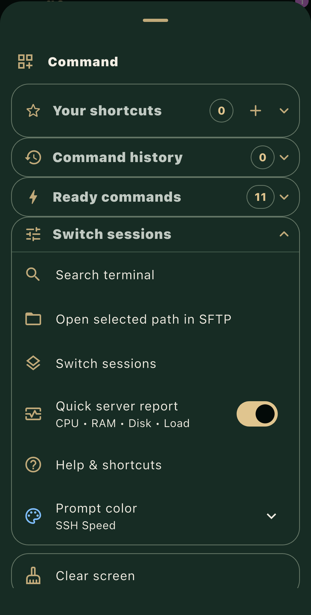 SSH Speed command center on iPhone showing saved shortcuts, command history, ready commands, terminal search, session switching, SFTP access, and a quick server report